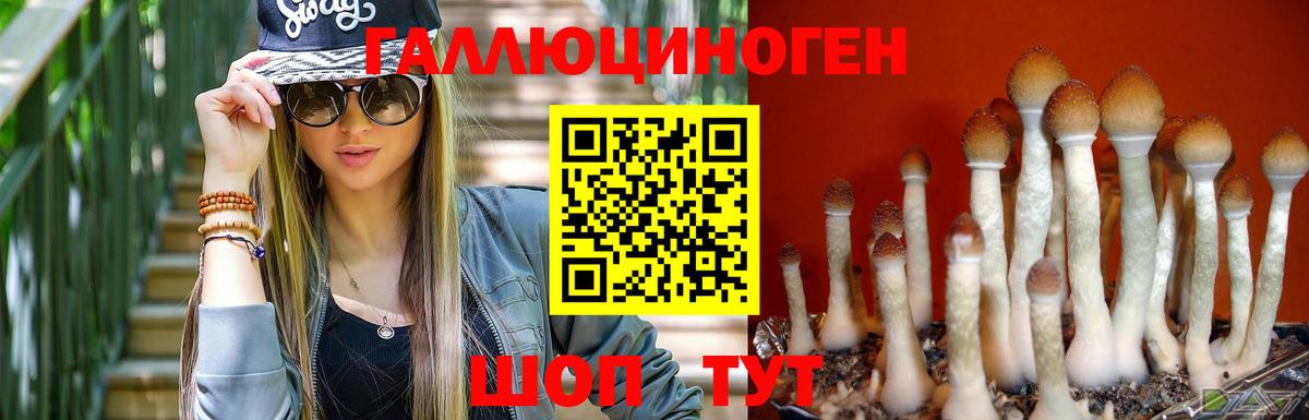 Галлюциногенные грибы мухоморы  Галлюциногенные грибы Psilocybine cubensis  Лосино-Петровский  Вход с VPN 